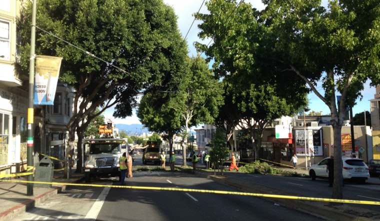 Columbus Avenue Closed This Morning Due To Fallen Tree