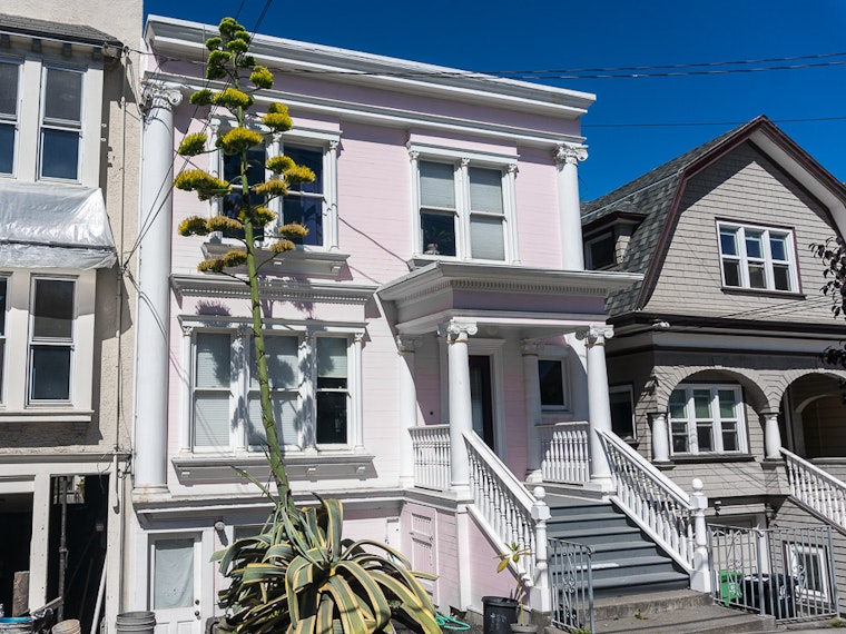 Photo: Giant Agave On 12th Avenue Blooms, Signaling Its Demise