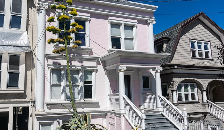 Photo: Giant Agave On 12th Avenue Blooms, Signaling Its Demise