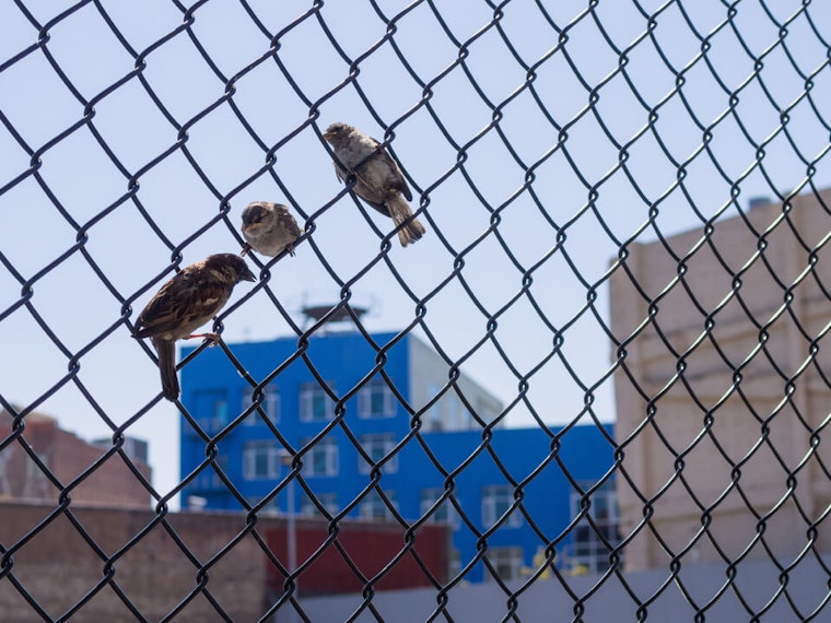 Tenderloin Week: Bulldog Baths Departs, Black Cat Coming Soon & Your Weekend Itinerary
