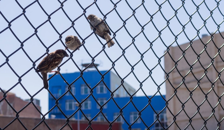 Tenderloin Week: Bulldog Baths Departs, Black Cat Coming Soon & Your Weekend Itinerary
