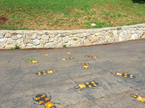 New Work By Street Artist Fnnch Appears In Alamo Square