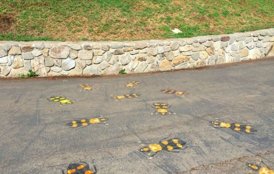 New Work By Street Artist Fnnch Appears In Alamo Square