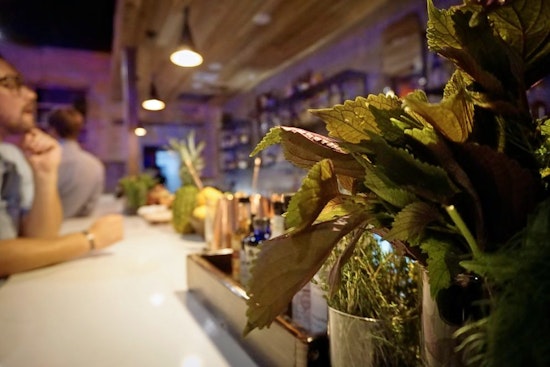 Perfect pours: Get to know these 3 new Dallas cocktail bars