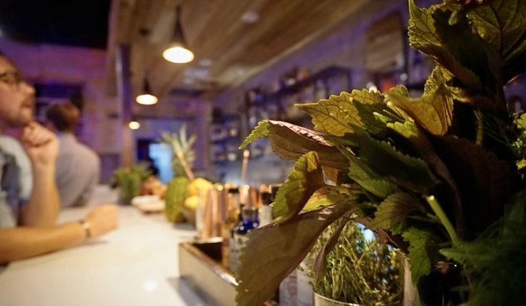 Perfect pours: Get to know these 3 new Dallas cocktail bars
