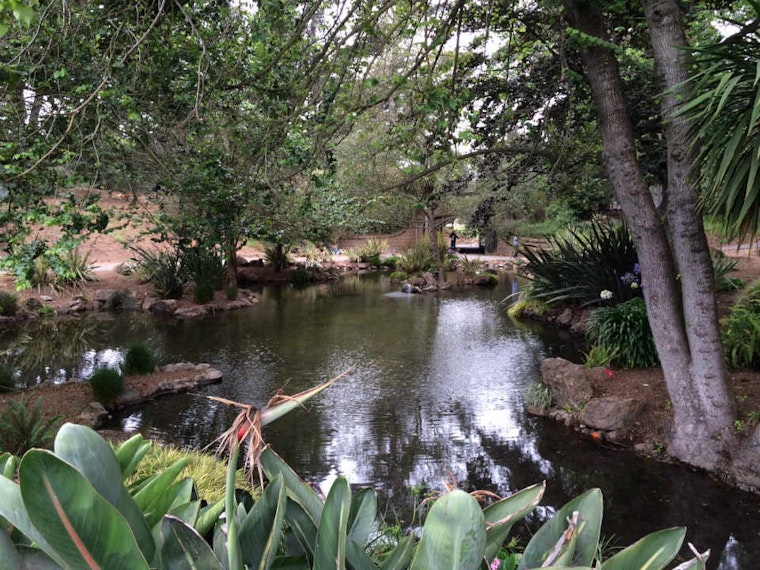 Upper Haight Weekend Odds & Ends: Park Cleanups, Open Mics And More