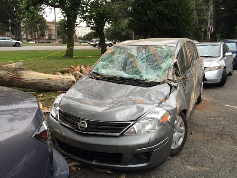 Three Cars Damaged Under Fallen Eucalyptus Branch On Oak