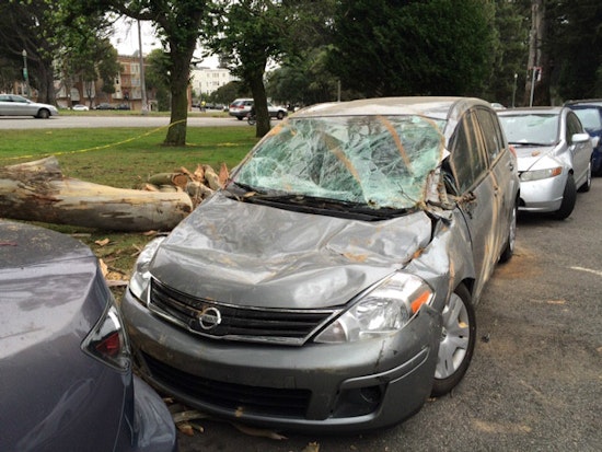 Three Cars Damaged Under Fallen Eucalyptus Branch On Oak
