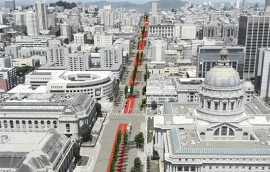 More Details On Planned Van Ness Tree Removals (And Replacements)