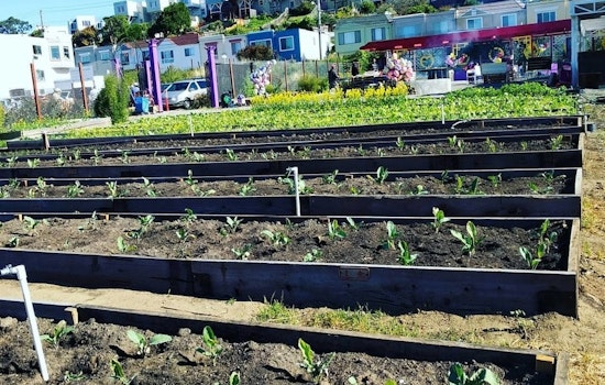New Bayview growers market debuts Saturday