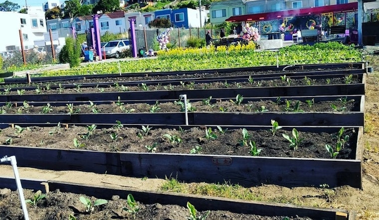 New Bayview growers market debuts Saturday