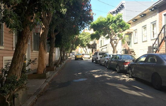 Ivy & Laguna May See New Landscaping, Wider Sidewalks And Reduced Parking