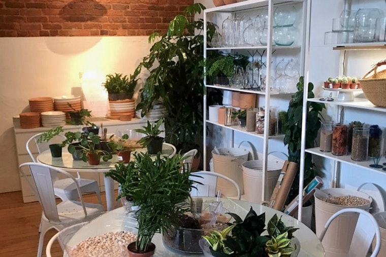 The Zen Succulent plant and gift shop opens in downtown Raleigh