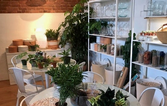The Zen Succulent plant and gift shop opens in downtown Raleigh