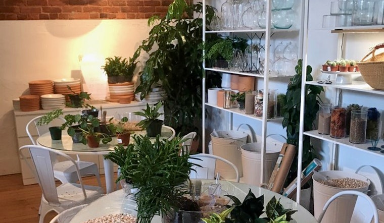 The Zen Succulent plant and gift shop opens in downtown Raleigh