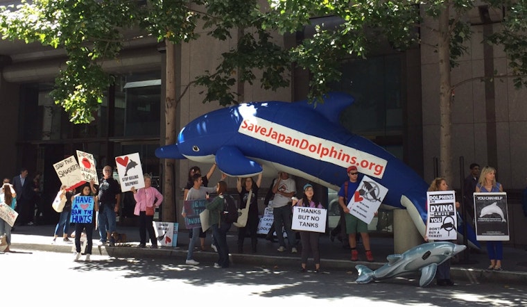 Photo: Protest To Save Dolphins Prompts Honking