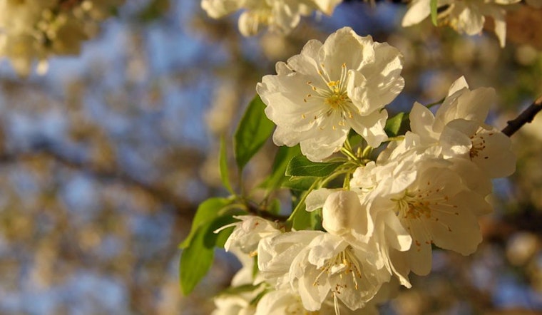 Fun in the sun: the 3 best parks in Pittsburgh