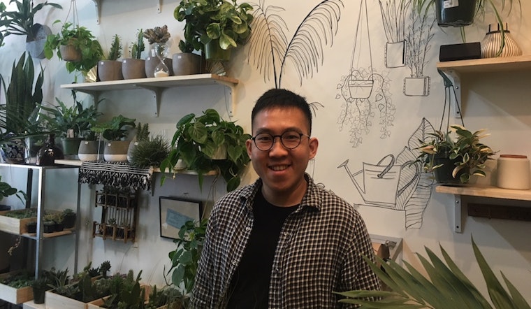 Plant Therapy offers apartment dwellers inspiration and options