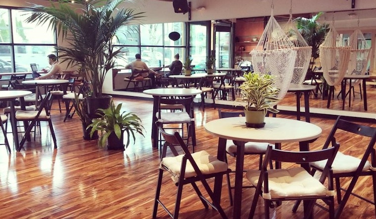 Get to know these 5 new Fremont businesses