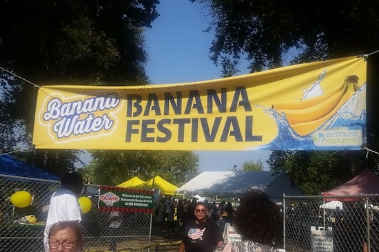 Sacramento-area arts events and festivals worth a look this weekend