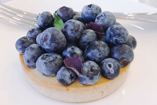 Eats, treats and more: 4 new businesses to check out in Andersonville