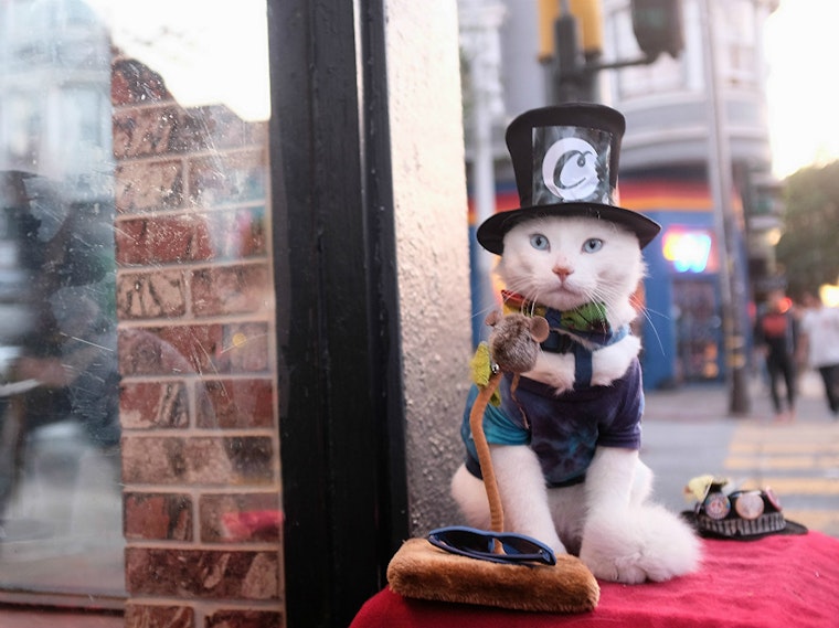 Upper Haight First Thursday Gets A Boost With October Event