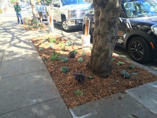 Photo: Pierce Street Gets New Sidewalk Landscaping