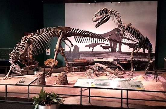 Where to go: St. Paul's top 3 museums, ranked
