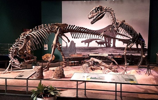 Where to go: St. Paul's top 3 museums, ranked