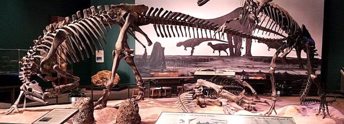 Where to go: St. Paul's top 3 museums, ranked