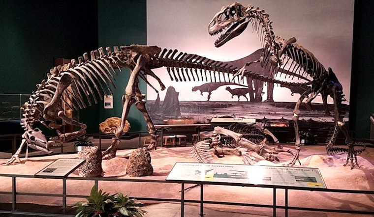 Where to go: St. Paul's top 3 museums, ranked