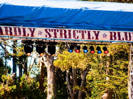 Inner Sunset Week: Hardly Strictly Bluegrass And Much More In The Park