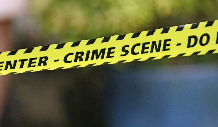 Theft In The Lower Haight: CVS Crime, Double Home Invasion, And More