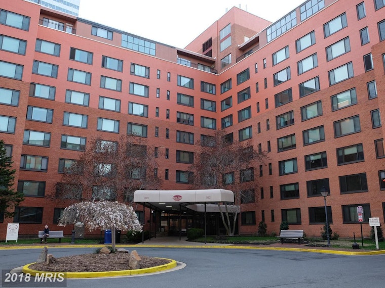 What's the cheapest rental available in Arlington, right now?