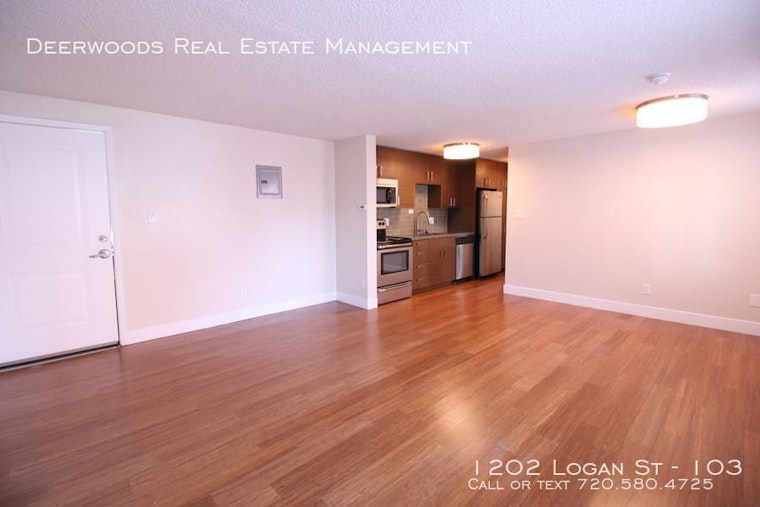 What does $1,300 rent you in Capitol Hill, today?