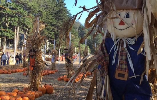 FYI: Clancy's Pumpkin Patch Open For Business