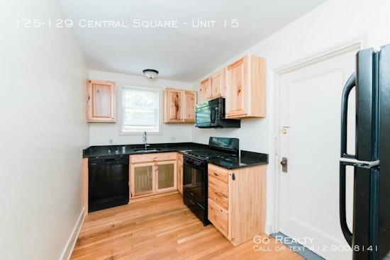 What will $900 rent you in Mount Lebanon, right now?