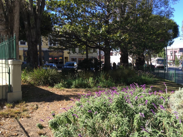 Volunteer To Spruce Up Marini Plaza This Saturday