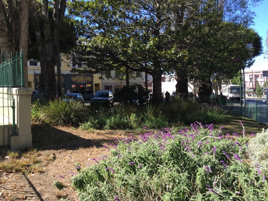 Volunteer To Spruce Up Marini Plaza This Saturday