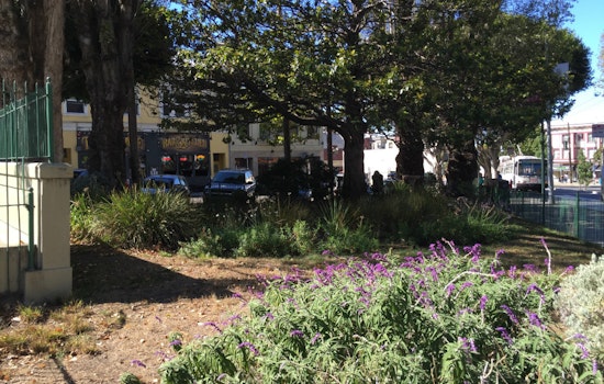Volunteer To Spruce Up Marini Plaza This Saturday