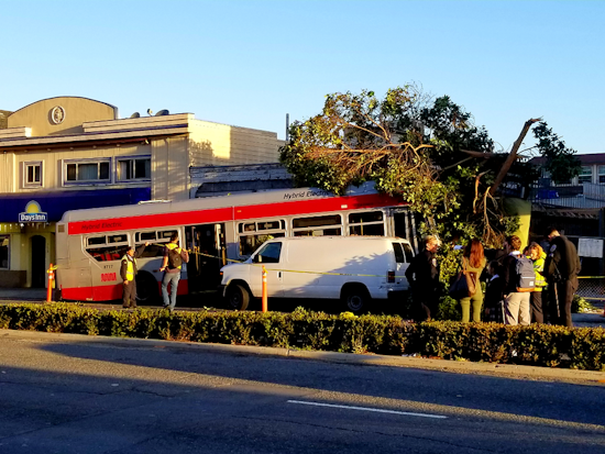 Muni driver in life-threatening condition after Marina collision [Updated]
