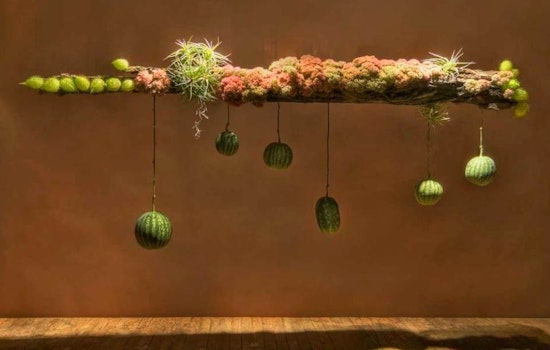 Getting To Know IXIA, The Castro's Unusual Flower Shop