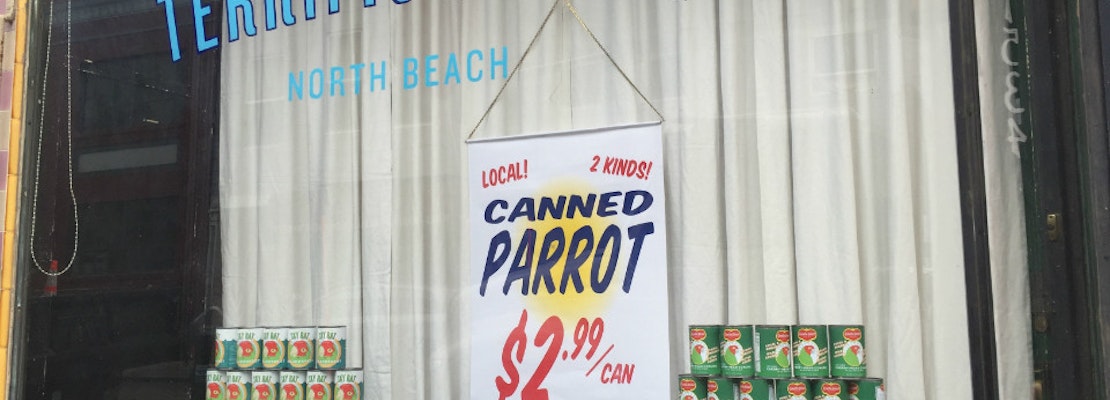 'Canned Parrot' Display Baffles, Angers Some Neighbors