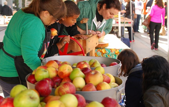 This Sunday: Farmers Market, Pie, & Cider At The Yard
