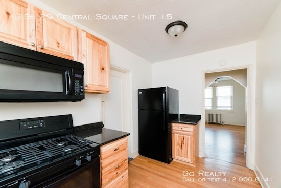 What will $900 rent you in Mount Lebanon, right now?