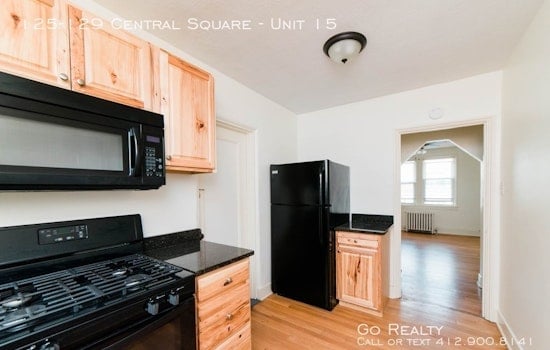 What will $900 rent you in Mount Lebanon, right now?