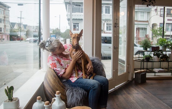 Richmond ceramics studio 'Yonder' readies to reopen with weekend party, fire sale