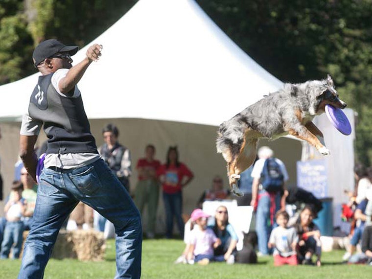 Inner Sunset Week: Pet Pride Day, Harvest Festival, A Zombie-Themed Circus Show, And More