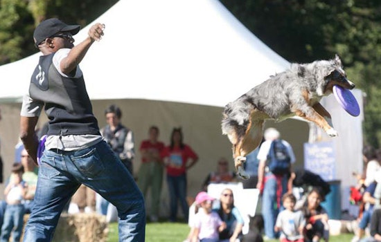 Inner Sunset Week: Pet Pride Day, Harvest Festival, A Zombie-Themed Circus Show, And More