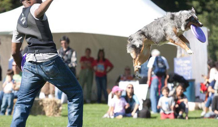 Inner Sunset Week: Pet Pride Day, Harvest Festival, A Zombie-Themed Circus Show, And More